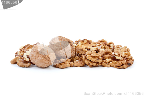 Image of Two walnuts and some kernels