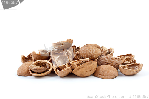 Image of Nutshells