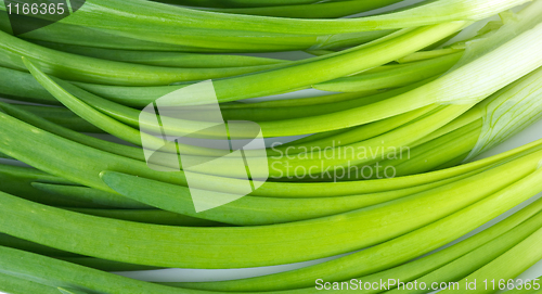 Image of Some spring onion