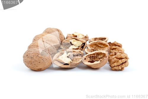 Image of Walnuts (whole and cracked), nutshells and kernels