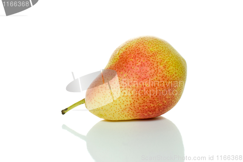 Image of Lying single spotty yellow-red pear