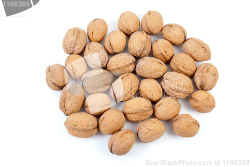 Image of Some walnuts