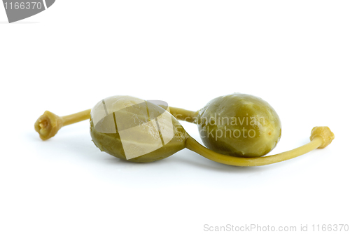 Image of Macro shot of two capers fruits