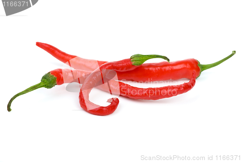 Image of Three red hot chili peppers 
