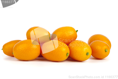 Image of Few kumquat fruits