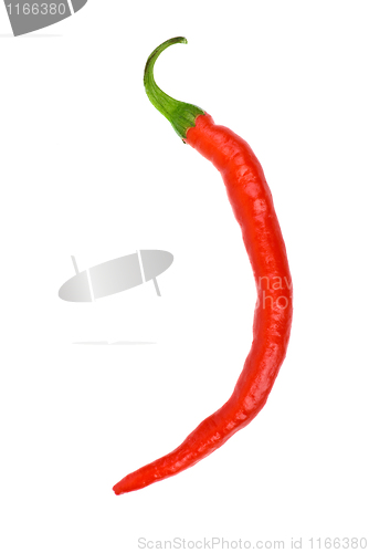 Image of Single red hot chili pepper