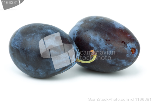 Image of Two plums