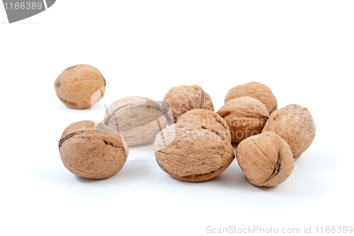 Image of Few walnuts