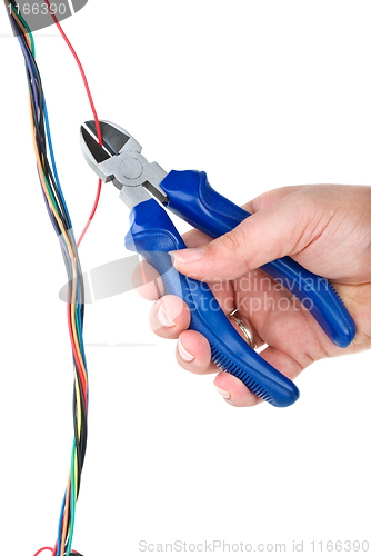 Image of Disarming the bomb: Side cutter cutting the red wire