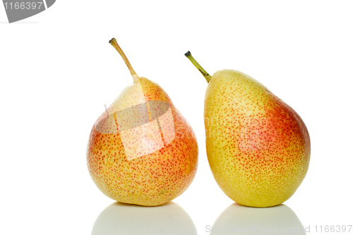 Image of Pair of spotty yellow-red pears