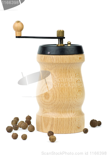 Image of Wooden spice handmill and allspice 