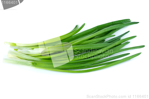 Image of Some spring onion