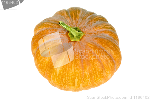 Image of Orange pumpkin