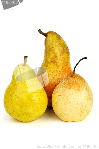 Image of Three pears of different breads