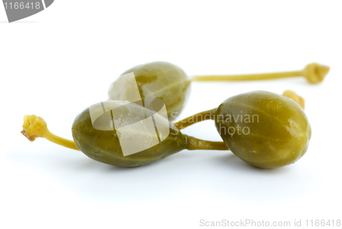 Image of Macro shot of three capers fruits