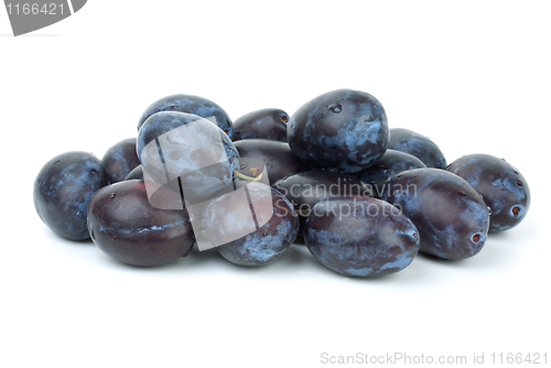 Image of Pile of blue plums