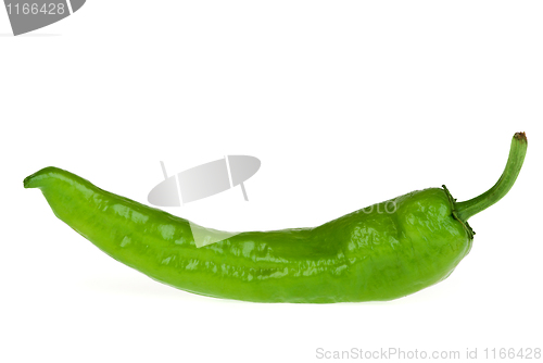 Image of Green chili pepper