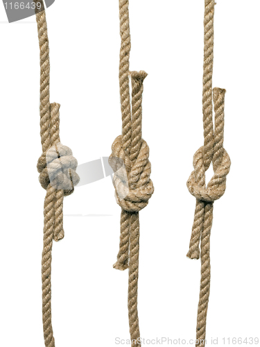 Image of Rope knots.