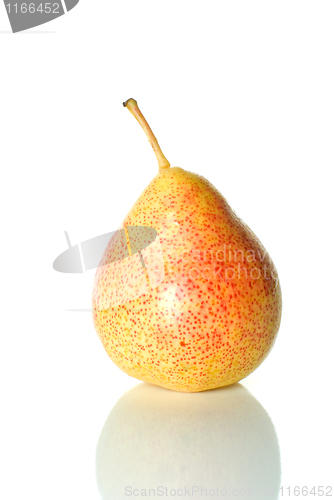 Image of Single spotty yellow-red pear