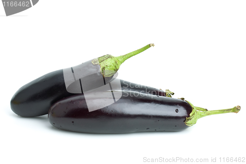 Image of Three eggplants