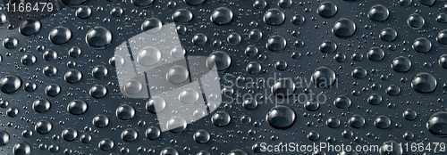 Image of Black drops.