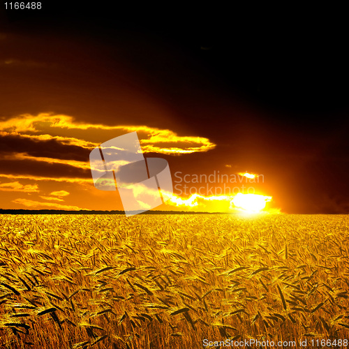 Image of Rural landscape.