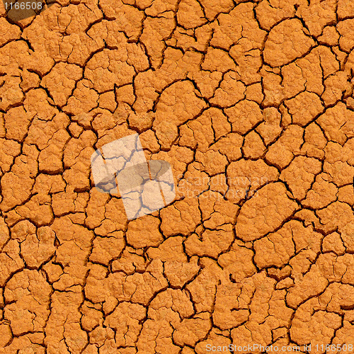 Image of Cracked ground pattern.