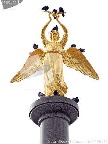 Image of Gold angel and pigeones.