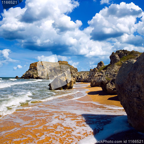 Image of Wild seashore.