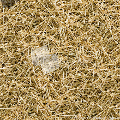 Image of Hay seamless background.