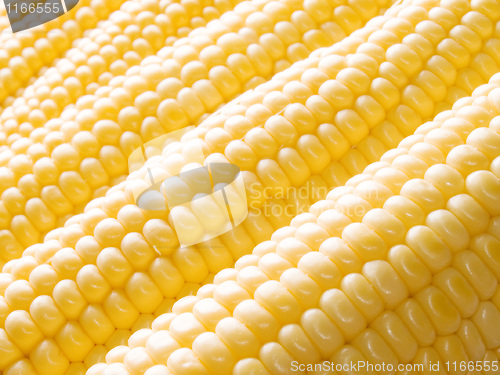 Image of Corn.