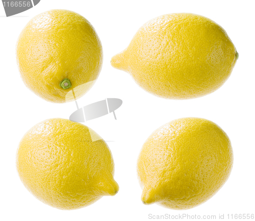 Image of Lemon.
