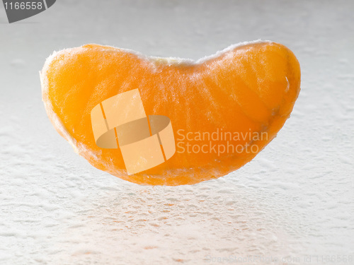 Image of Mandarin lobule.