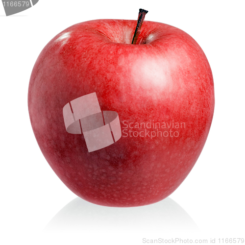 Image of Red apple.