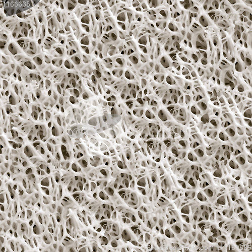 Image of Sponge seamless background.