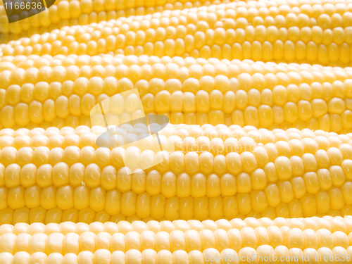 Image of Corn.