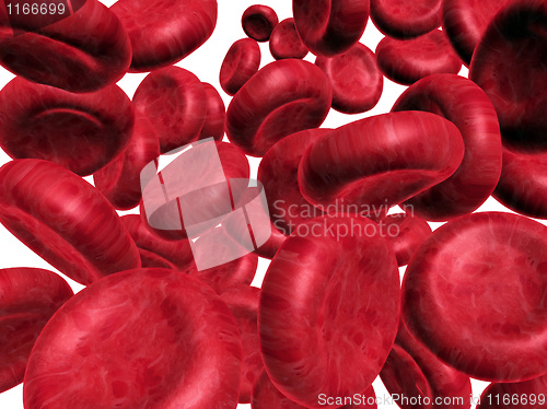 Image of Blood cells.