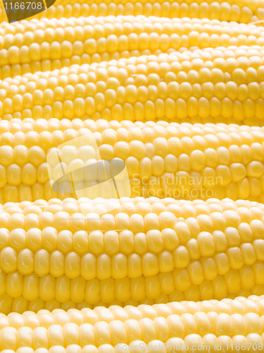 Image of Corn.