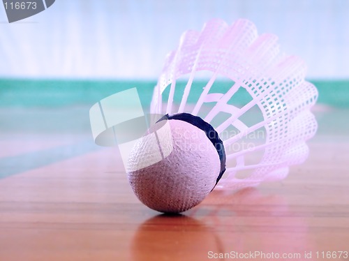 Image of Shuttlecock on the floor