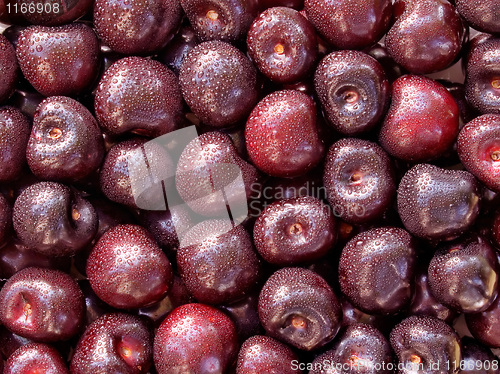 Image of Cherry.