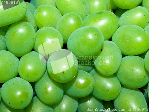 Image of Grapes.