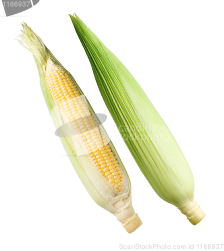 Image of Corn.