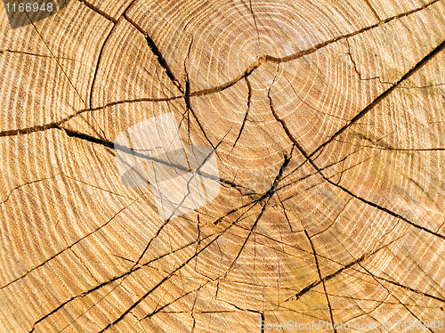 Image of Saw cut.
