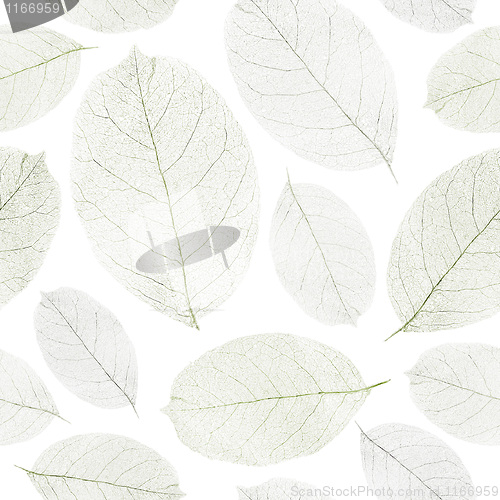 Image of Dried leafs seamless background.