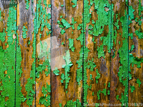 Image of Green fence.