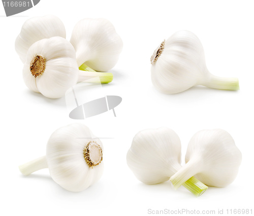 Image of Garlic set.