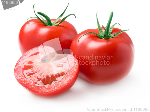 Image of Tomato.