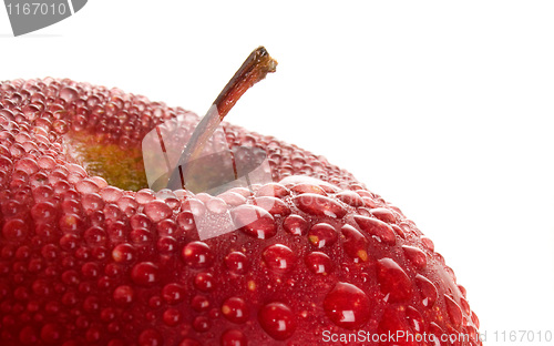 Image of Red wet apple.