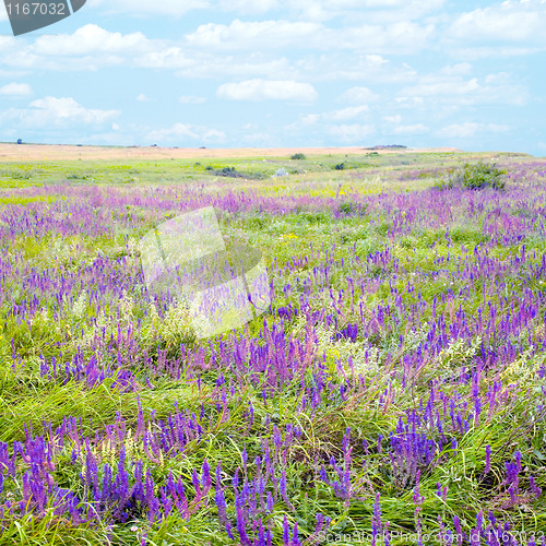 Image of Steppe.