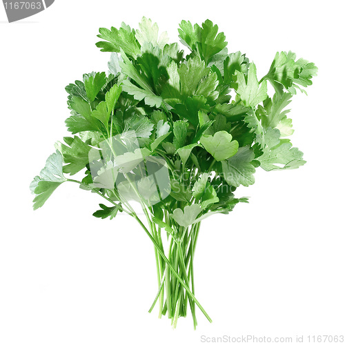 Image of Parsley.